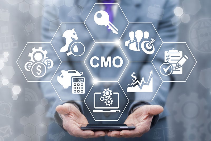 Cmo,-,Chief,Marketing,Officer,Business,Shopping,Web,Store,Concept. fractional cmo
